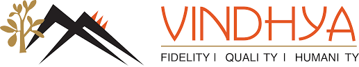 Vindhya E info Media pvt ltd