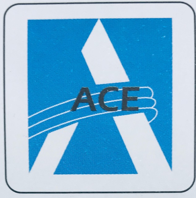 ACE Human Capital